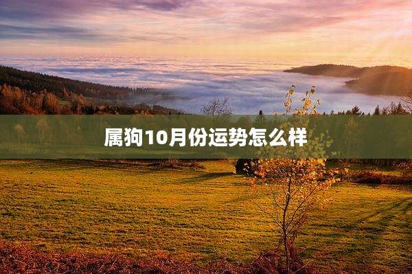 属狗10月份运势怎么样