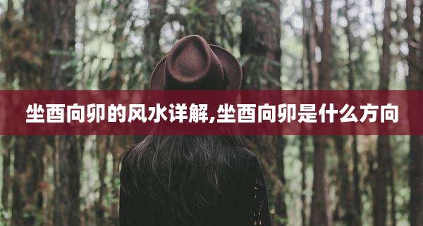 坐酉向卯的风水详解,坐酉向卯是什么方向