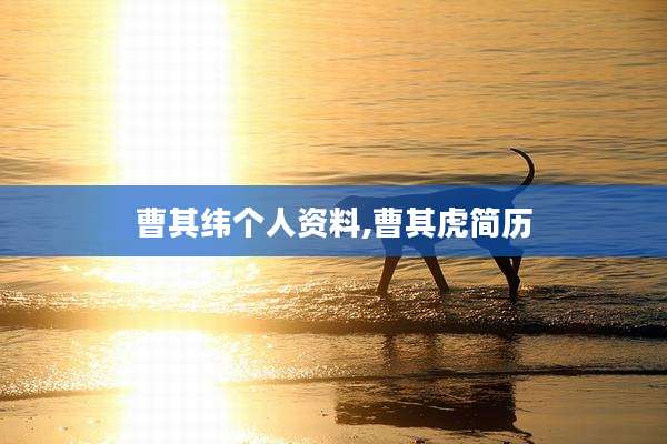 曹其纬个人资料,曹其虎简历