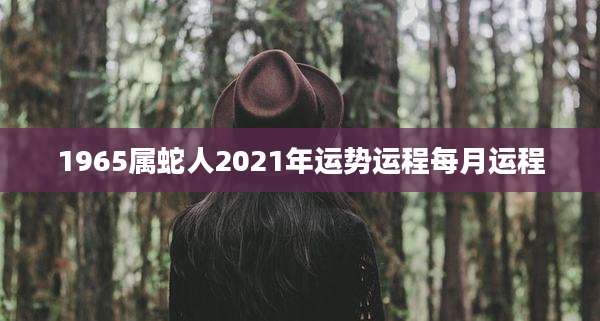 1965属蛇人2021年运势运程每月运程