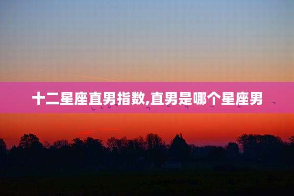 十二星座直男指数,直男是哪个星座男