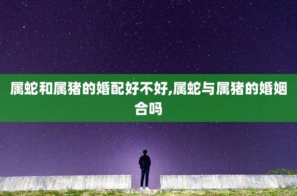 属蛇和属猪的婚配好不好,属蛇与属猪的婚姻合吗