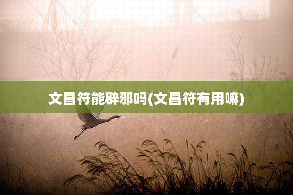 文昌符能辟邪吗(文昌符有用嘛)
