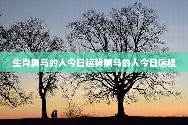 生肖属马的人今日运势属马的人今日运程