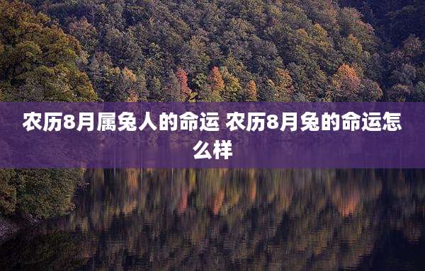 农历8月属兔人的命运 农历8月兔的命运怎么样