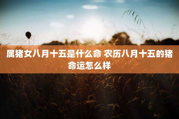 属猪女八月十五是什么命 农历八月十五的猪命运怎么样