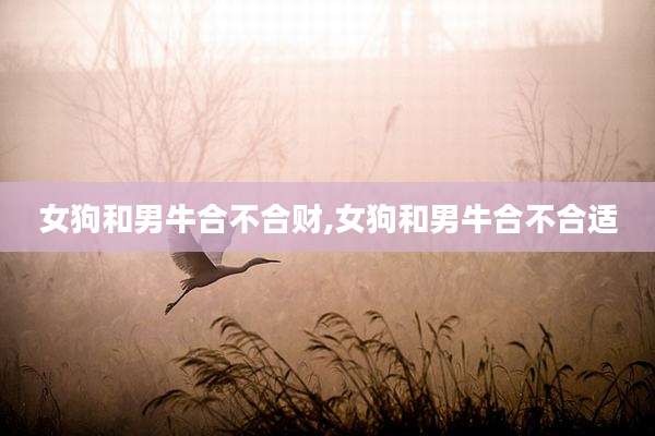 女狗和男牛合不合财,女狗和男牛合不合适