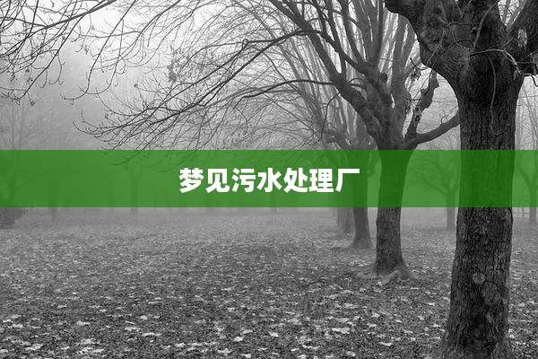 梦见污水处理厂
