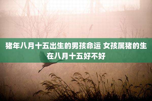 猪年八月十五出生的男孩命运 女孩属猪的生在八月十五好不好
