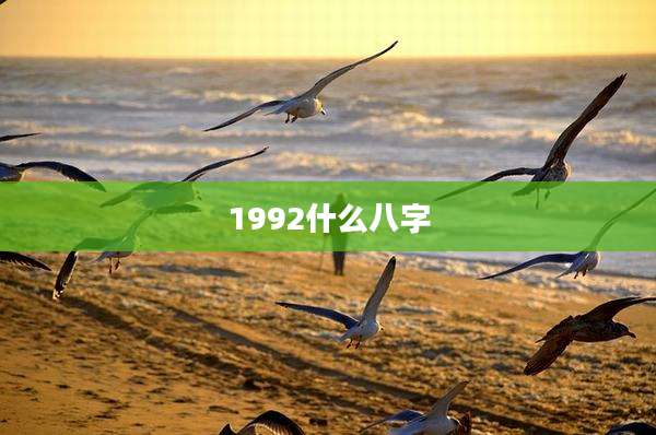 1992什么八字