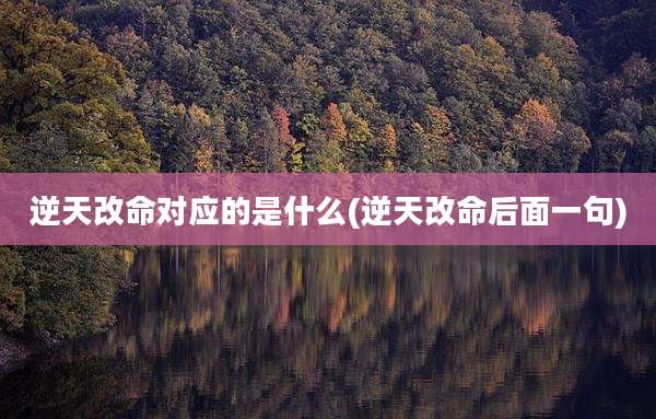 逆天改命对应的是什么(逆天改命后面一句)