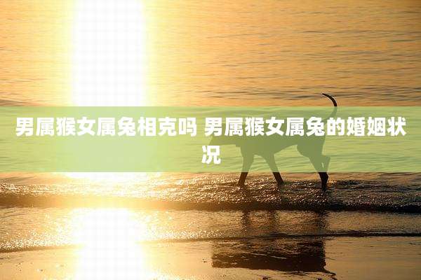 男属猴女属兔相克吗 男属猴女属兔的婚姻状况