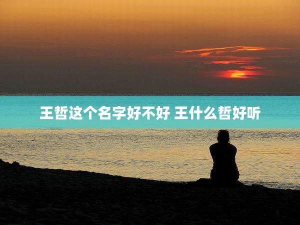 王哲这个名字好不好 王什么哲好听