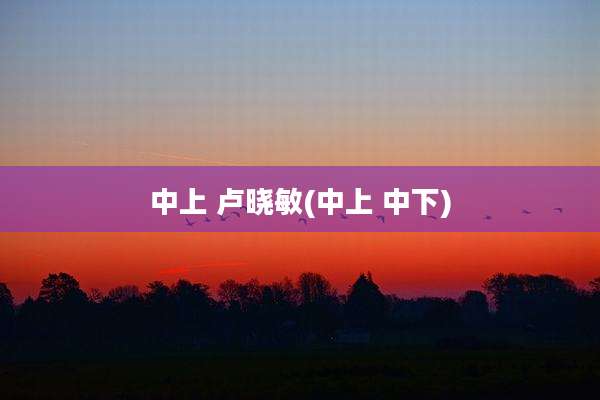 中上 卢晓敏(中上 中下)