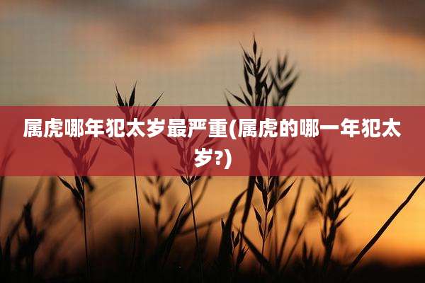 属虎哪年犯太岁最严重(属虎的哪一年犯太岁?)