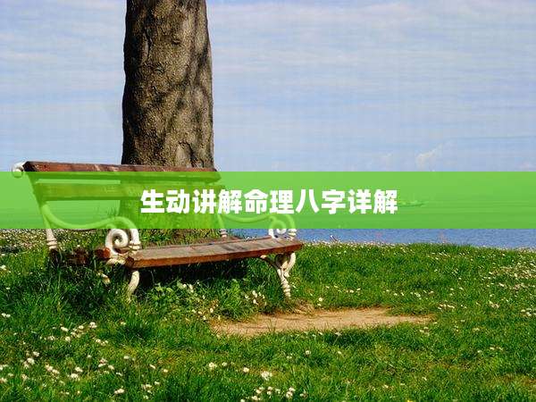 生动讲解命理八字详解