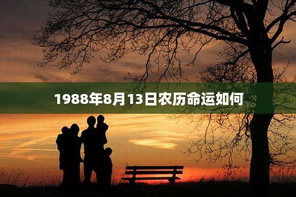 1988年8月13日农历命运如何