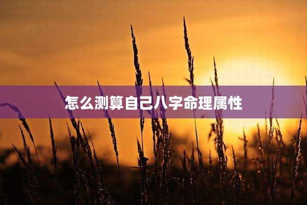 怎么测算自己八字命理属性