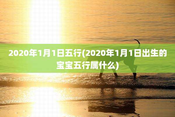 2020年1月1日五行(2020年1月1日出生的宝宝五行属什么)