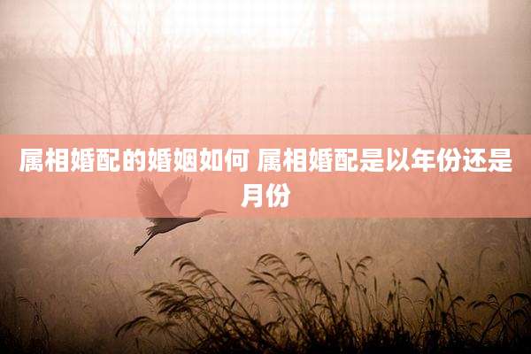 属相婚配的婚姻如何 属相婚配是以年份还是月份