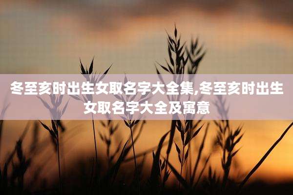 冬至亥时出生女取名字大全集,冬至亥时出生女取名字大全及寓意