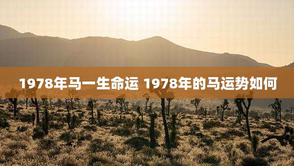 1978年马一生命运 1978年的马运势如何