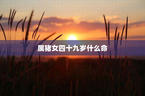 属猪女四十九岁什么命