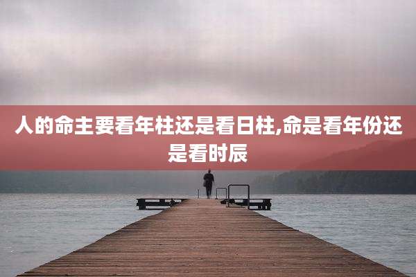 人的命主要看年柱还是看日柱,命是看年份还是看时辰