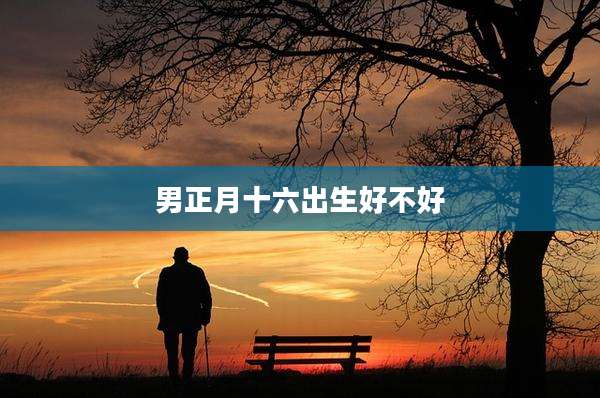 男正月十六出生好不好