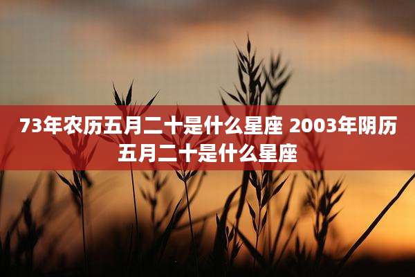 73年农历五月二十是什么星座 2003年阴历五月二十是什么星座