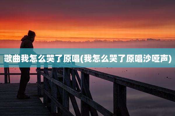 歌曲我怎么哭了原唱(我怎么哭了原唱沙哑声)