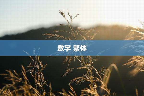 数字 繁体