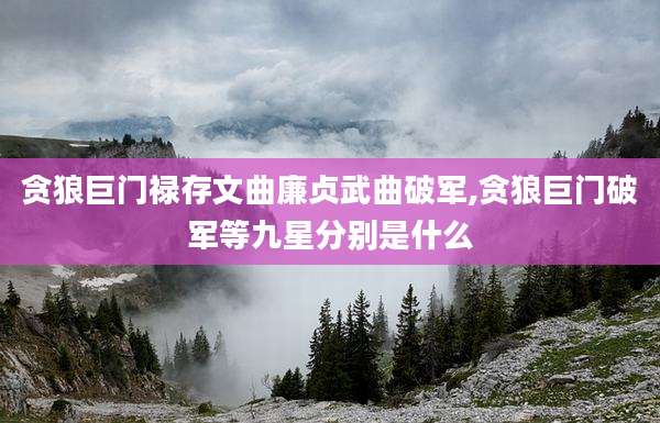 贪狼巨门禄存文曲廉贞武曲破军,贪狼巨门破军等九星分别是什么