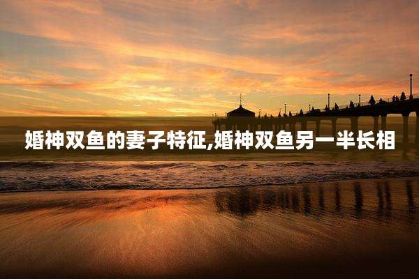 婚神双鱼的妻子特征,婚神双鱼另一半长相