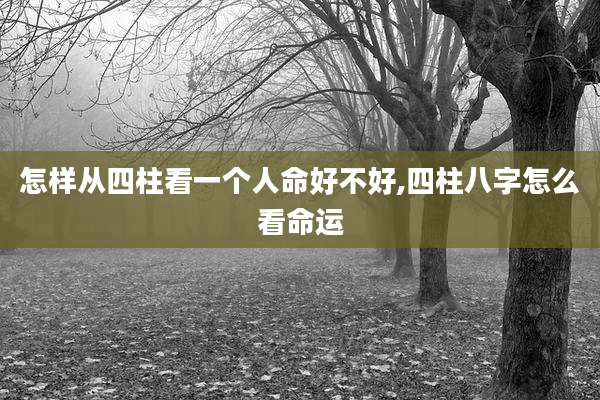 怎样从四柱看一个人命好不好,四柱八字怎么看命运