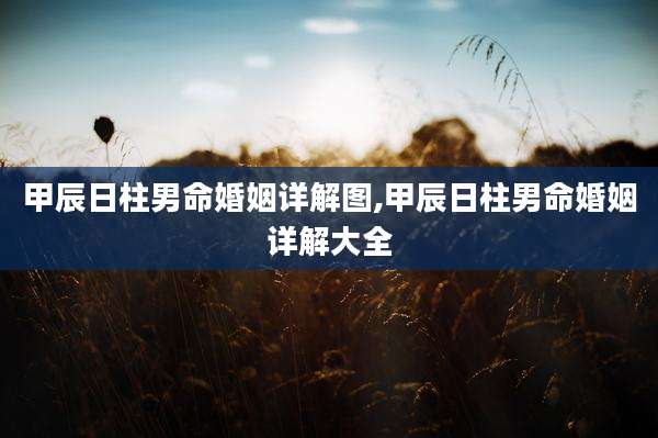 甲辰日柱男命婚姻详解图,甲辰日柱男命婚姻详解大全