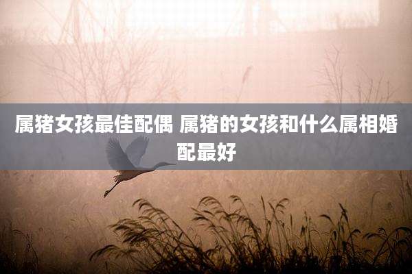 属猪女孩最佳配偶 属猪的女孩和什么属相婚配最好