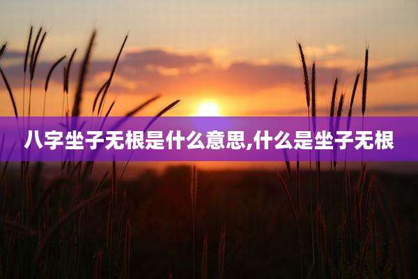 八字坐子无根是什么意思,什么是坐子无根