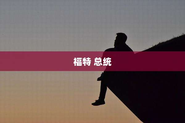 福特 总统