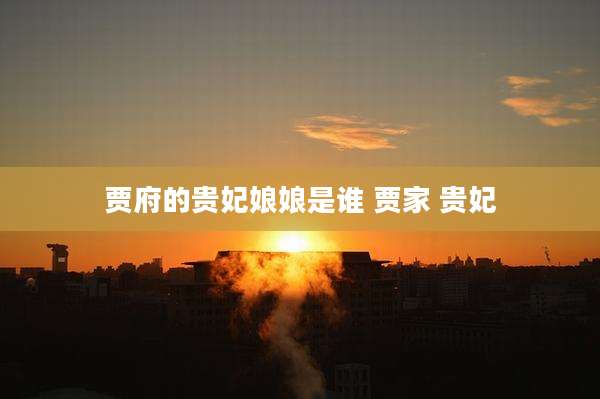 贾府的贵妃娘娘是谁 贾家 贵妃