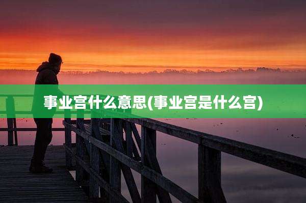 事业宫什么意思(事业宫是什么宫)