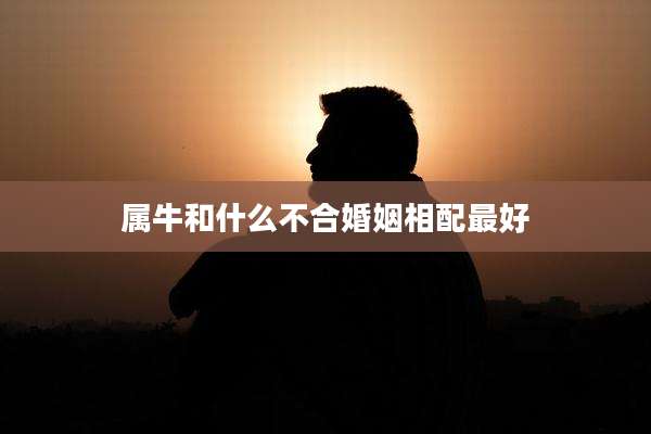 属牛和什么不合婚姻相配最好