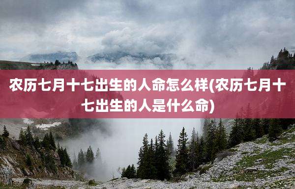 农历七月十七出生的人命怎么样(农历七月十七出生的人是什么命)