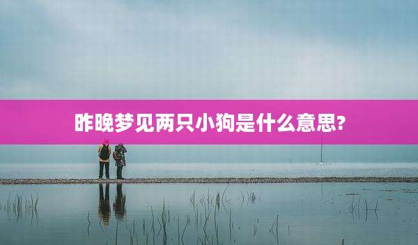 昨晚梦见两只小狗是什么意思?