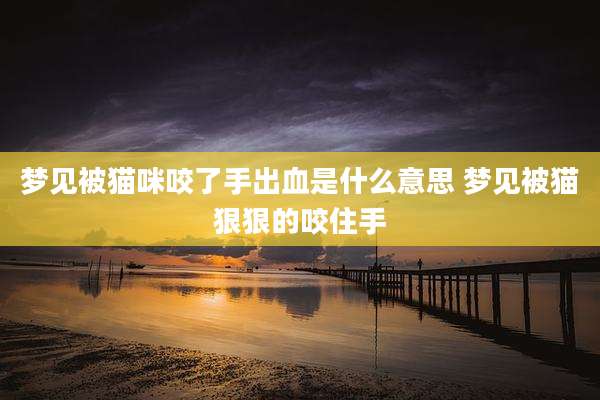 梦见被猫咪咬了手出血是什么意思 梦见被猫狠狠的咬住手