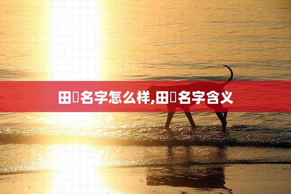 田湉名字怎么样,田珵名字含义