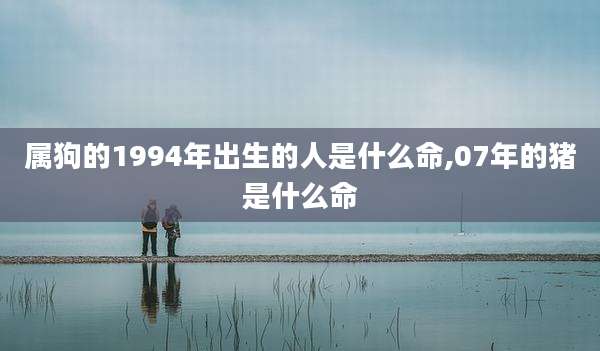 属狗的1994年出生的人是什么命,07年的猪是什么命