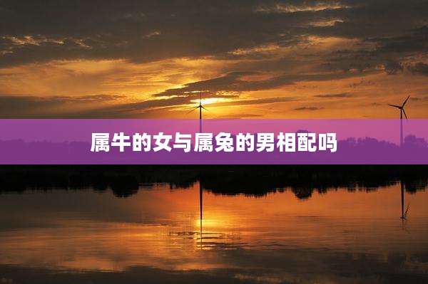 属牛的女与属兔的男相配吗