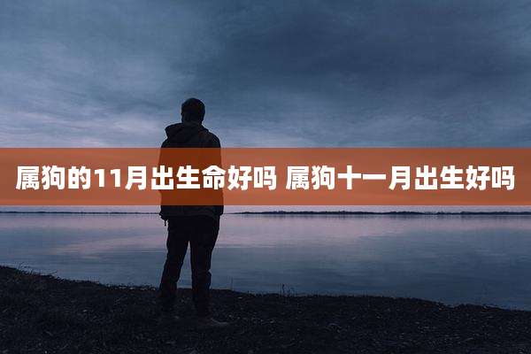 属狗的11月出生命好吗 属狗十一月出生好吗