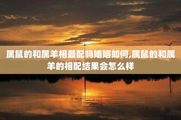 属鼠的和属羊相最配吗婚姻如何,属鼠的和属羊的相配结果会怎么样
